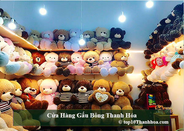Cửa hàng bán gấu bông Sầm Sơn