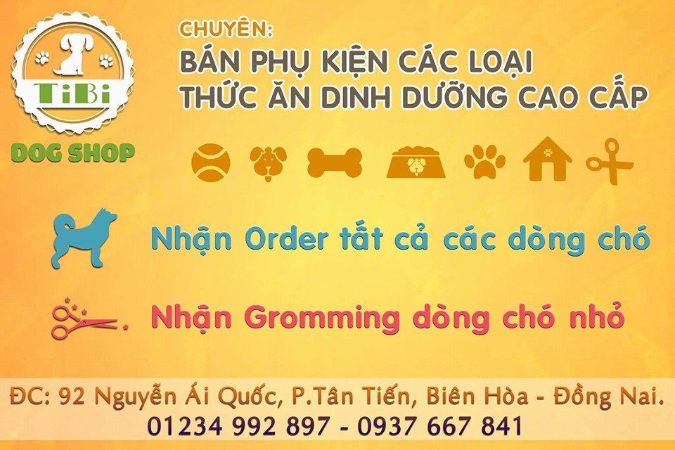 Shop thú cưng Đồng Nai