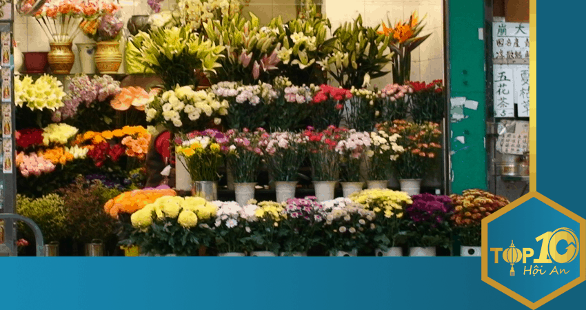 Top shop hoa đẹp Hội An